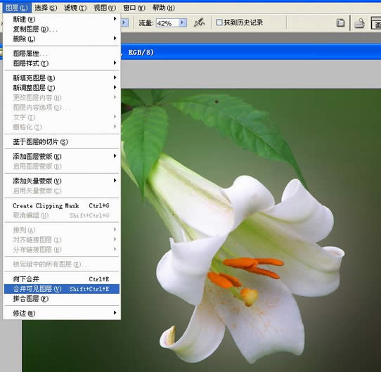 Photoshop处理数码照片的背景